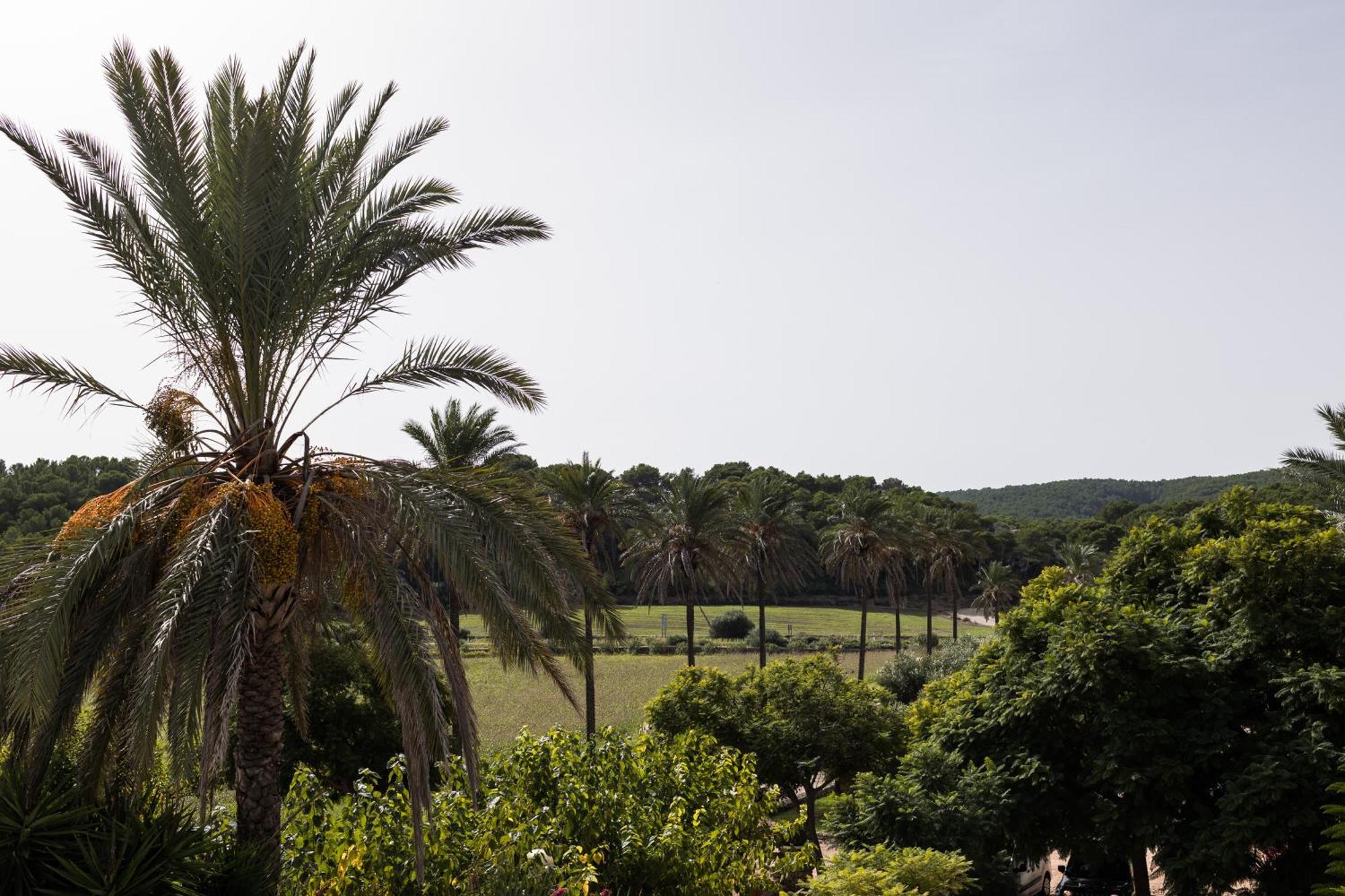 Hotel Llucatx Menorca Son Parc Pokoj fotografie